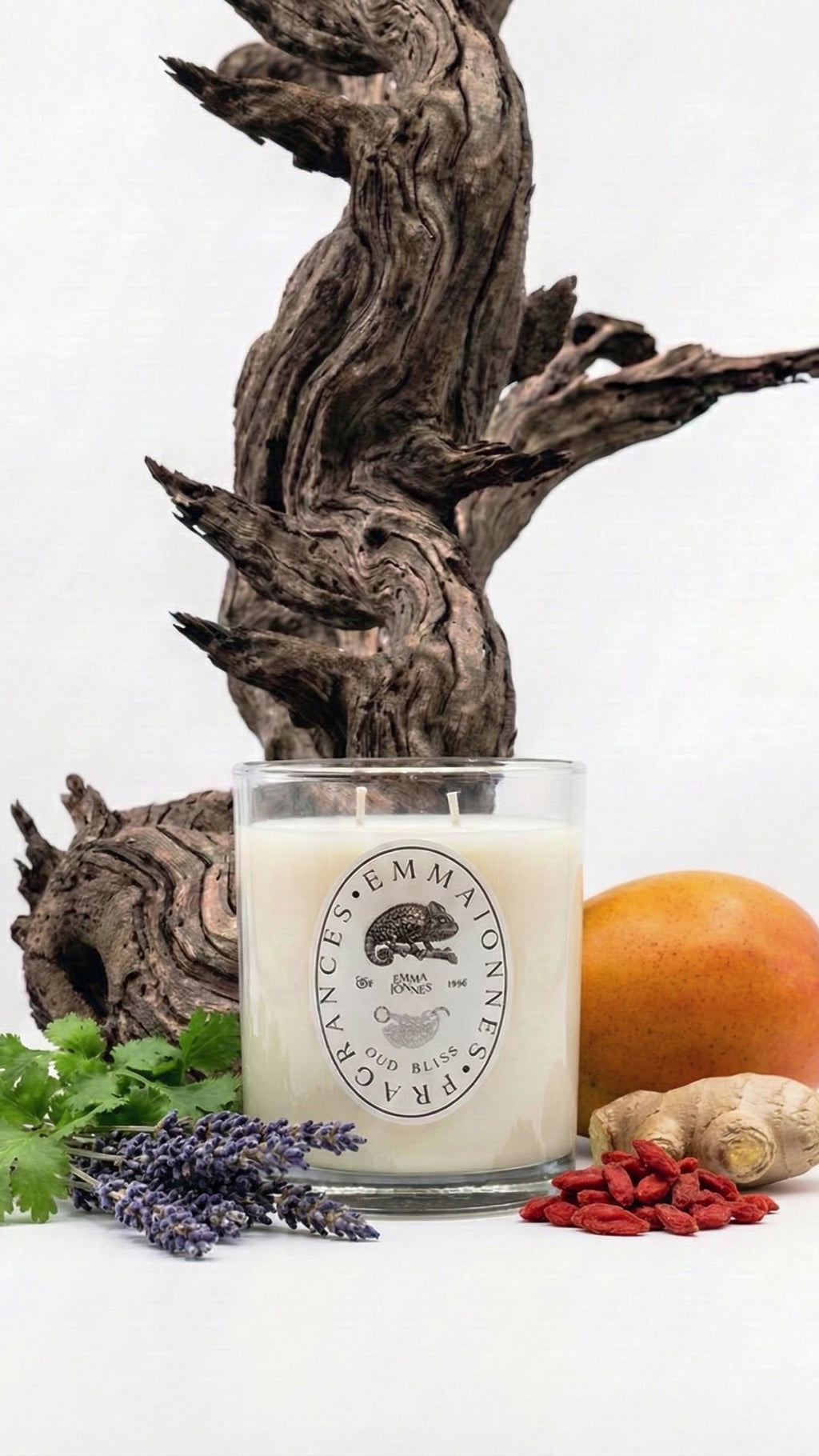 Premium Oud Candle Bliss For Home Scent