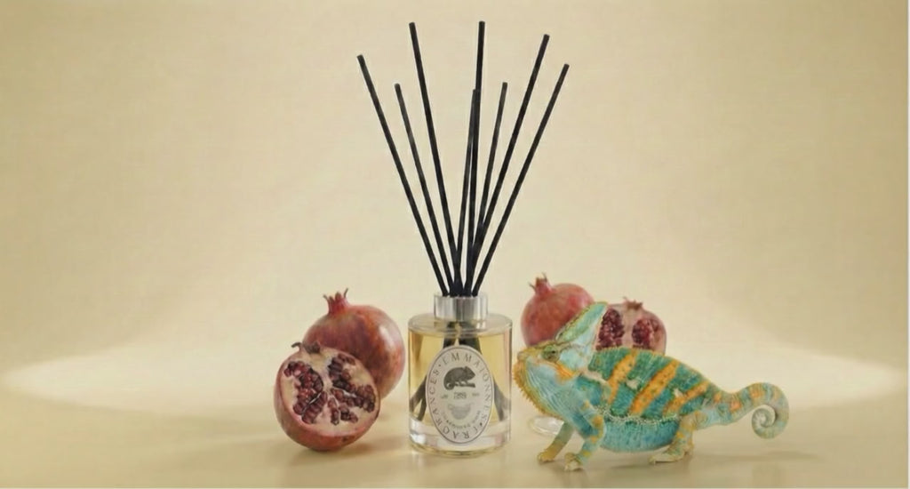 Scent Diffuser Champagne Noir