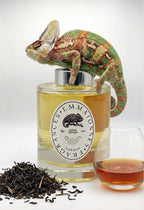 Luxury Diffuser London