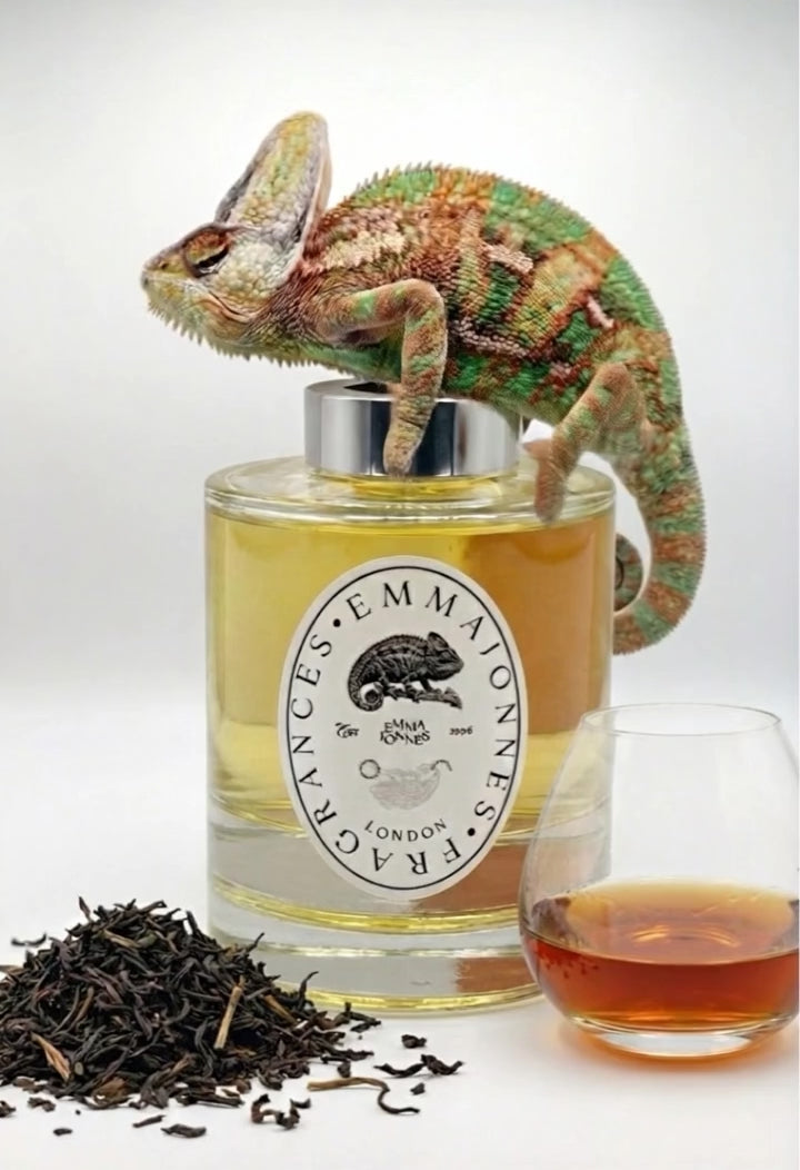 Luxury Diffuser London